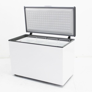 Ларь морозильный Frostor F 400 S (кат.3)