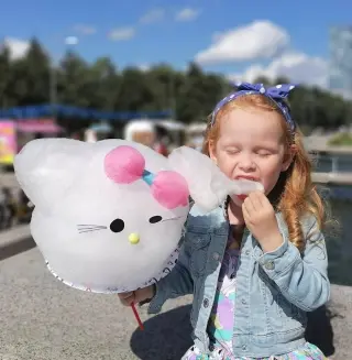 Аппарат для сахарной ваты CANDYMAN GAS (газовый) настольный