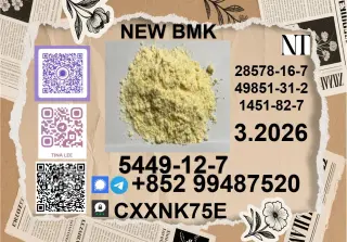 China Reliable supplier P.M.K Cas 28578-16 -7