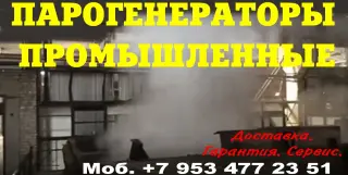 Парогенератор промышленный цена