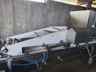 Промышленная мойка филе рыбы Carnitech Jacuzzi