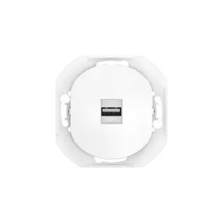 Розетка скрытой установки CADUCEUS ALING EON с модулем Keystone USB 2.0 тип A-A, механизм