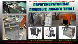Парогенератор пищевой