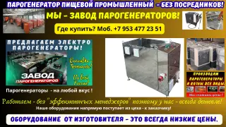 Парогенератор пищевой