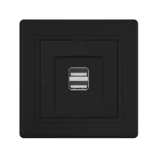 Розетка скрытой установки CADUCEUS ALING PRESTIGE двойная, USB, тип А, для зарядки устройств, 2,1А, 5В=, 250В~