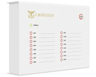 Терминал светодиодной индикации CADUCEUS SU-TE