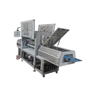 Линия для упаковки сыпучих продуктов в лотки BQS-QH2000
