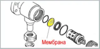 Мембрана (Membrane)