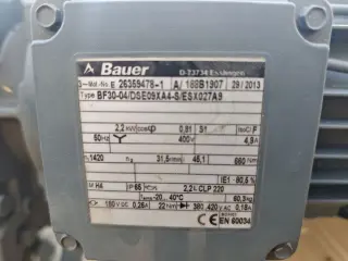 Мотор‑редуктор Bauer BF30‑04/DSE09xA4-S (геликоидальный) 2,2 вт 31.5 об в мин