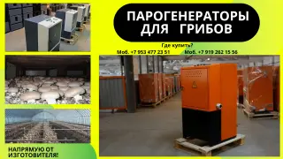 Парогенератор грибы