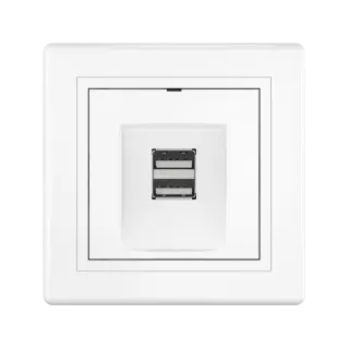 Розетка скрытой установки CADUCEUS ALING PRESTIGE двойная, USB, тип А, для зарядки устройств, 2,1А, 5В=, 250В~
