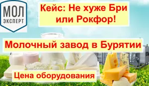 Бурятия. Молочный завод. сыродельное оборудование «Молэксперт»