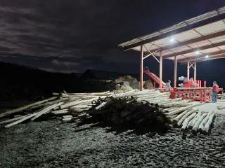 Окорочный станок ОС-600T «СИТЕК» для тонкомера
