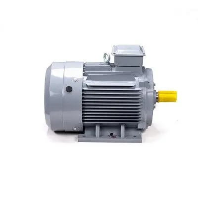 Эл.двигатель ESQ PR 180 M8 GST-Б1-S12-IE2 15/750 IM 1001