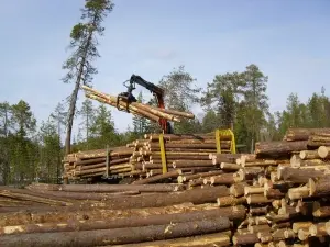 В Архангельске появится инновационный лесопромышленный комплекс