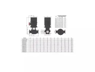 Вертикальный центробежный насос Fancy FTD200-31/4
