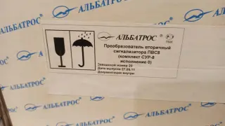 Альбатросы