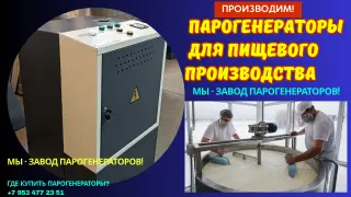 Парогенератор для пищевых производств купить