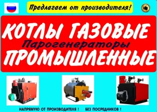 Котел газовый промышленный цена