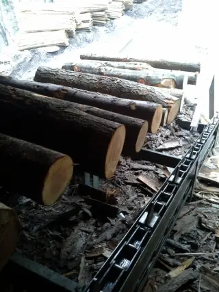 Лесопильные линии итальянского производства