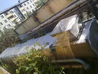 Бланширователь шнековый