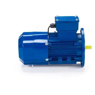 Электродвигатель 5АИ 90 L4 ET 2.2/1500 IM 3081