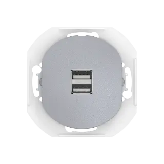 Розетка скрытой установки CADUCEUS ALING EON USB тип A для зарядки устройств, двойная, 2,1А, 5В=, 250В~, механизм