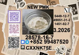 China Reliable supplier P.M.K Cas 28578-16 -7