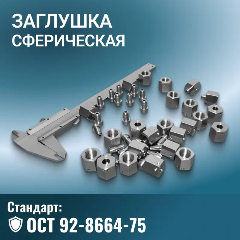 Заглушка со стопорным кольцом ОСТ 92-8664-75