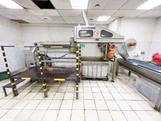 Линия по очистке лука Sormak USM100