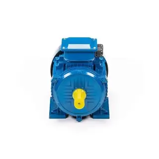 Эл.двигатель 5АИ 100 L8 1.5/750 IM 1081