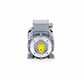 Эл.двигатель ESQ PR 80 B4-SDN-Б1-S12-IE3 0.75/1500 IM B34