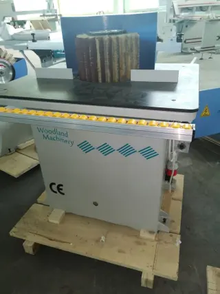 20-29-555 Щёточно-шлифовальный станок WOODLAND MACHINERY DTL-20A