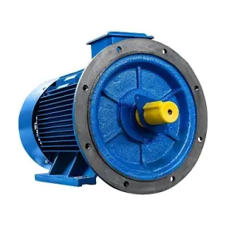 Эл.двигатель 5АИ 315 S2 160/3000 IM 2001