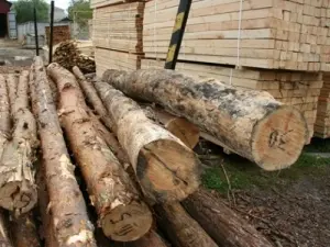 В Омской области производство пиломатериалов увеличилось на 21%