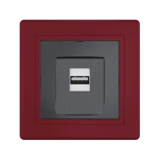 Розетка скрытой установки CADUCEUS ALING PRESTIGE с модулем Keystone USB 2.0 тип А-А, 250В~