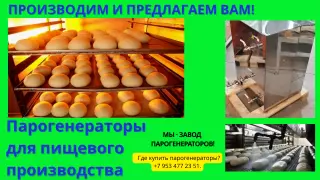 Парогенератор для пищевых производств купить
