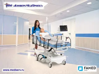 Каталки медицинские WP-02 (Spark), Famed, Польша, - надежность, функциональность, легкость перемещения
