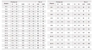 Вертикальный многоступенчатый насос Fancy CDM 20-5