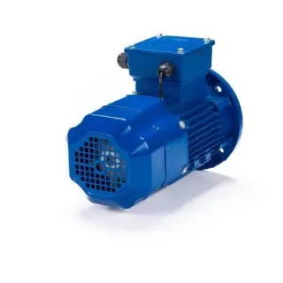 Электродвигатель 5АИ 90 L4 ET 2.2/1500 IM 3081