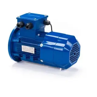 Электродвигатель 5АИ 90 L4 ET 2.2/1500 IM 3081