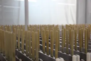 Проходной станок с техническим зрением ﻿industrial для нанесения ЛКП на деревянные детали методом распыления