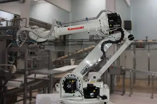 Робот-редуктор вала 60216-1111 для манипулятора KAWASAKI