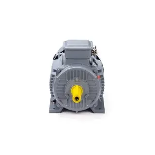 Эл.двигатель ESQ PR 132 M4 GST-Б1-S12-IE2 11/1500 IM 1081