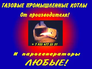 Парогенератор промышленный