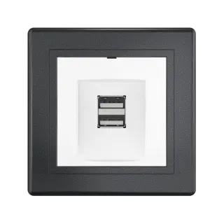 Розетка скрытой установки CADUCEUS ALING PRESTIGE двойная, USB, тип А, для зарядки устройств, 2,1А, 5В=, 250В~