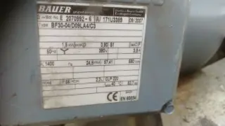 Мотор‑редуктор Bauer BF30‑04/D09LA4/C3 (геликоидальный) 1,5 вт 25 об в мин