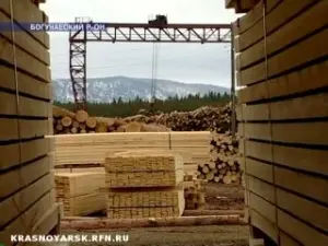 В Красноярском крае состоялся запуск Богучанского ЛПК