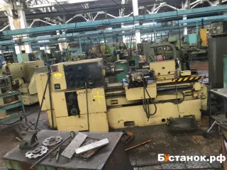 Токарно-затыловочный станок dh250 43171