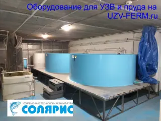 Узв на 3 тонны осетра в год